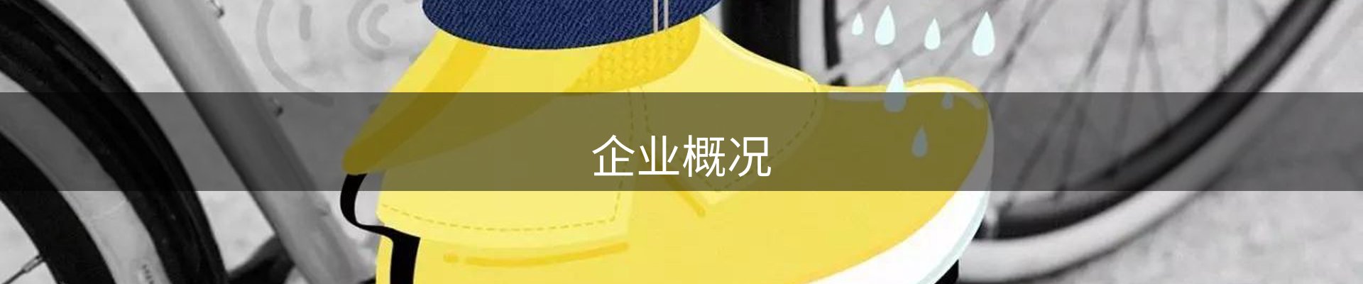 企业概况