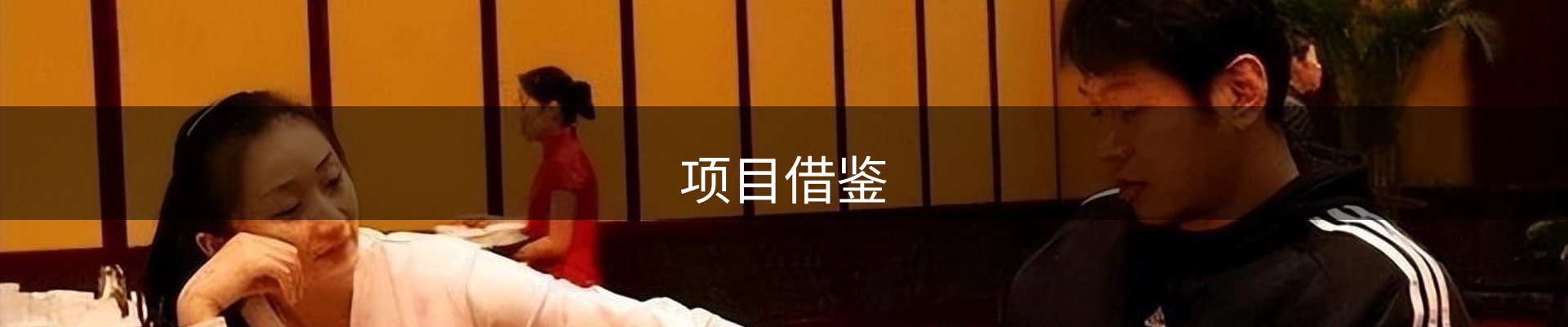 项目借鉴